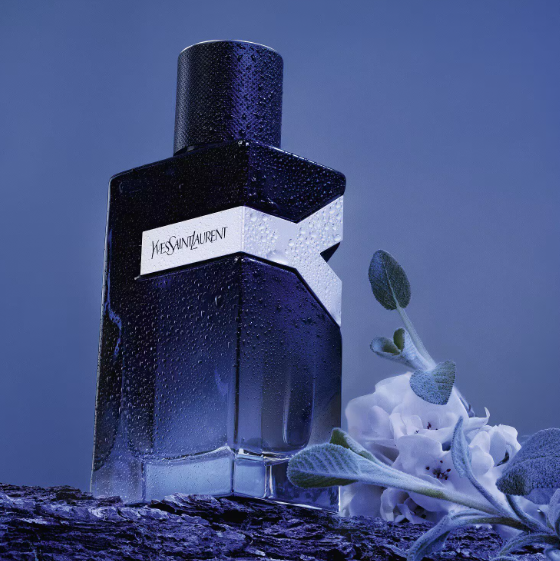 Y by YSL- Eau de Parfum